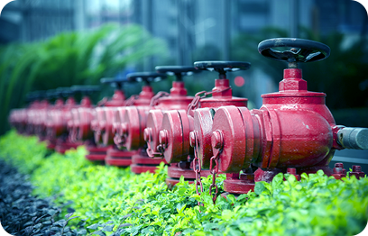 寻人并宣布信息